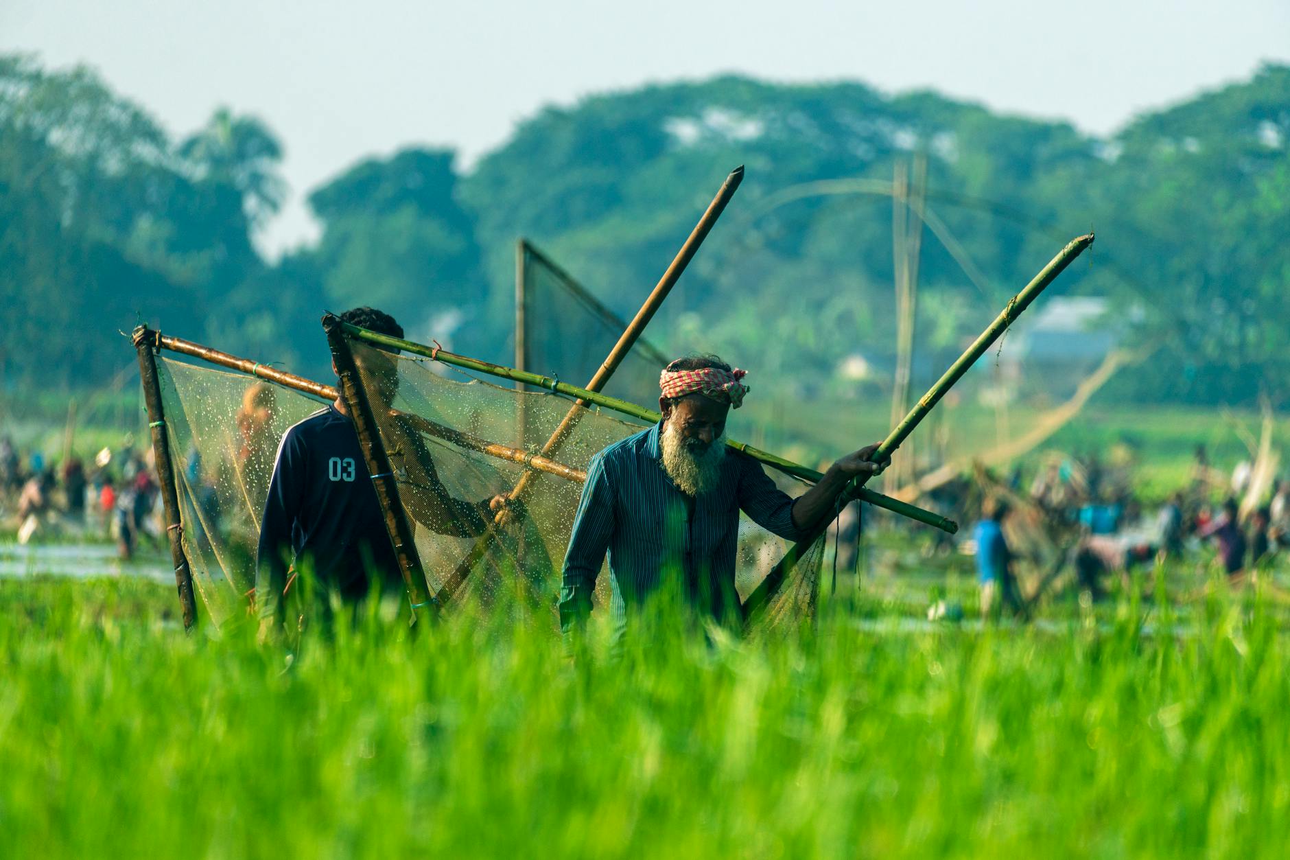 Emigrate of Non-Seafarers